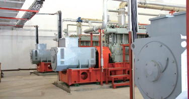 300係列煤製煤氣發電機組