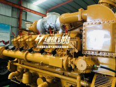 畜牧糞便沼氣（qì）發電機組