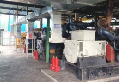 貴州鳳山瓦斯發電項目（mù）