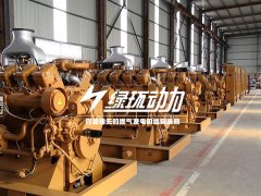 有機（jī）廢水沼氣發電機組