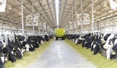 蘇墾優然牧業沼氣（qì）發電（diàn）項目並