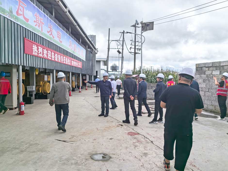 雲南省市領導視察香蕉草莓丝瓜向日葵视频18旗下大海子瓦斯發電電站