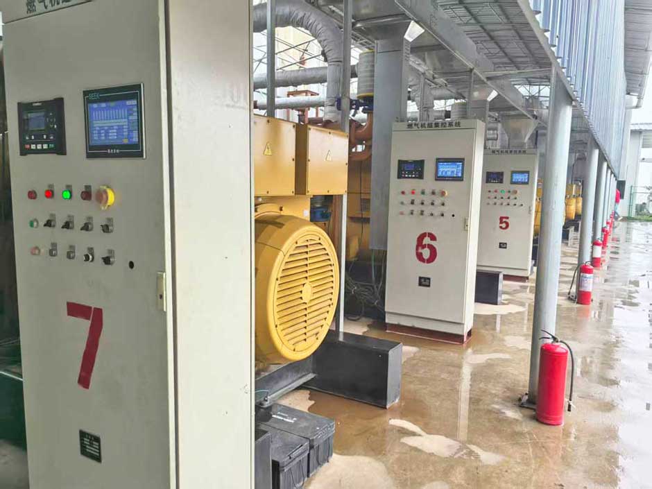 雲南省市領(lǐng)導視察綠(lǜ)環旗下大海子(zǐ)瓦斯發(fā)電電站